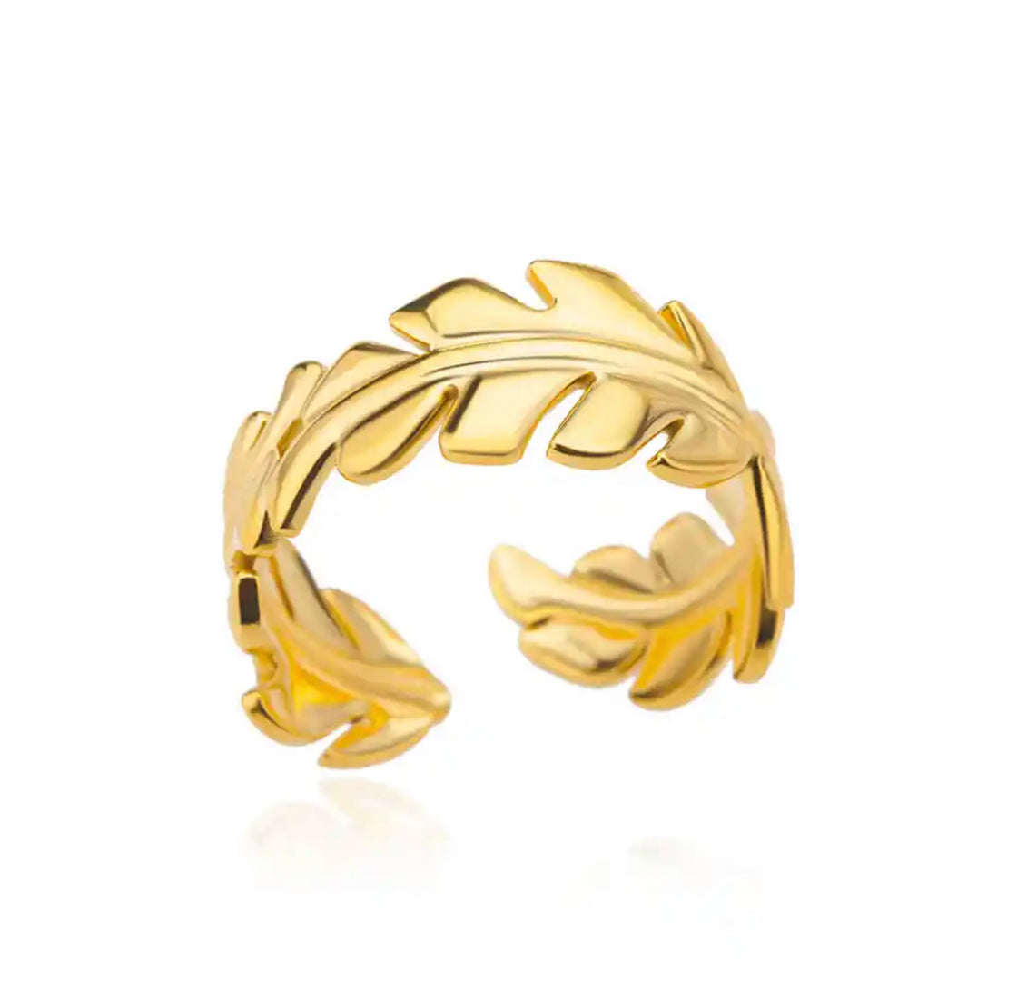 stainless steel ring